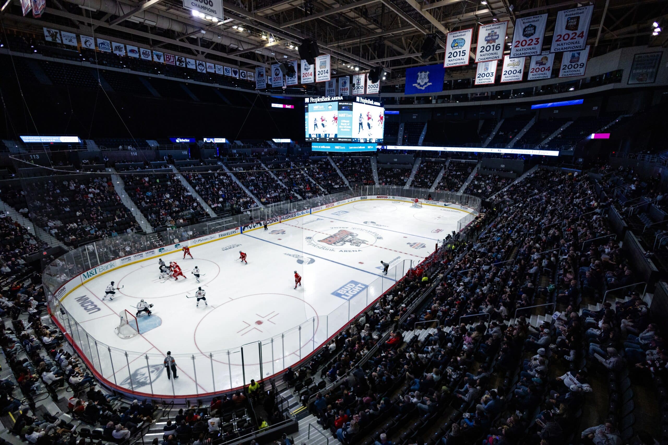 Jared Beltz for Hartford Wolf Pack